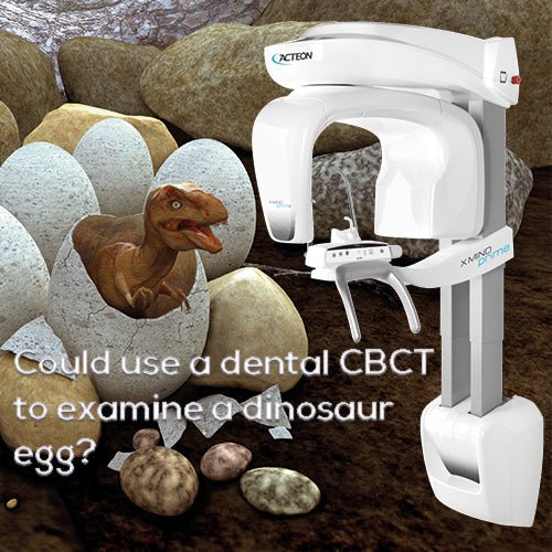 Could you use a dental CBCT to examine a dinosaur egg? - 360visualise